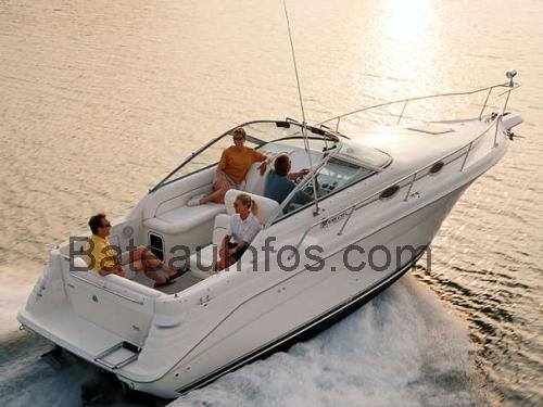 Sea Ray 27 Sundancer fiche technique et avis